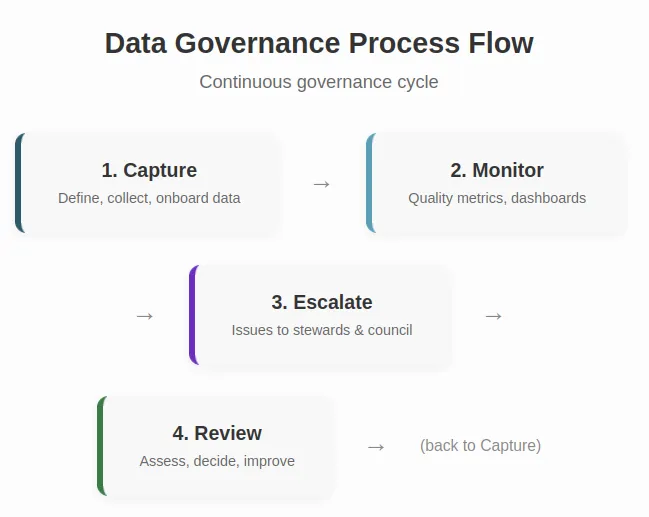 Data governance process flow — capture, monitor, escalate, review